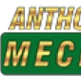 Anthony & Sons Mechanical logo